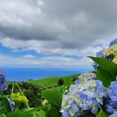 Quinta Da Espadana * Povoacao (Sao Miguel)