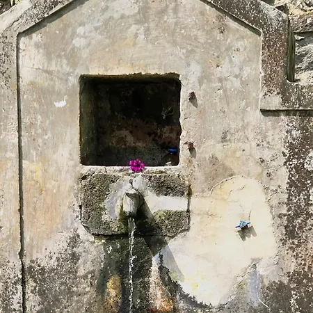 Quinta Da Espadana Povoacao (Sao Miguel)
