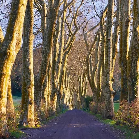 Quinta Da Espadana Сasa de vacaciones Povoacao (Sao Miguel)