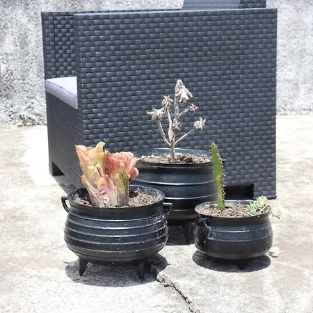 Quinta Da Espadana Сasa de vacaciones *