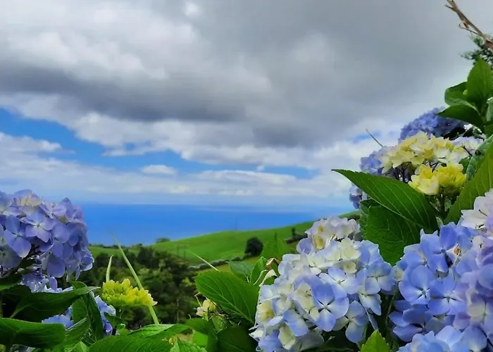 Quinta Da Espadana * Povoacao (Sao Miguel)