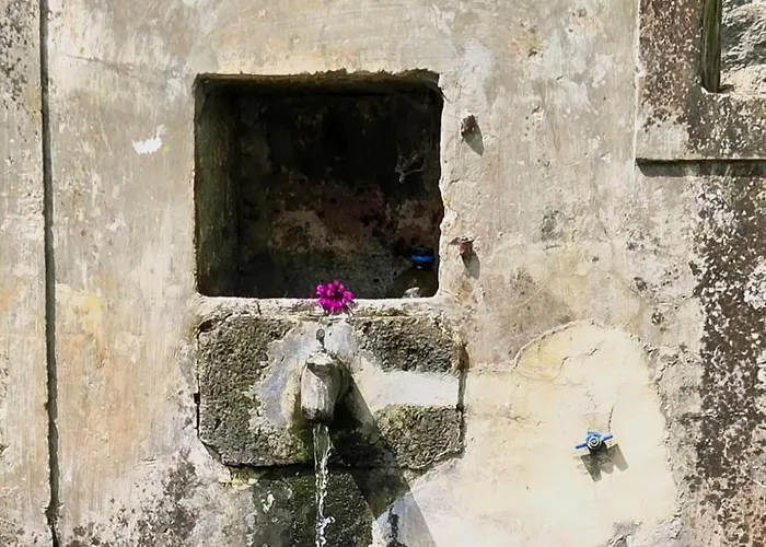 Quinta Da Espadana Povoacao (Sao Miguel)