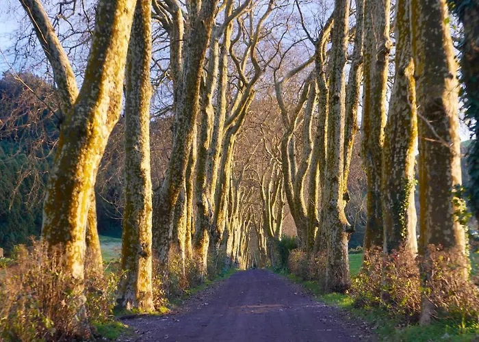 Quinta Da Espadana Σπίτι διακοπών Povoacao (Sao Miguel)