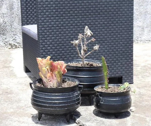 Quinta Da Espadana Σπίτι διακοπών *